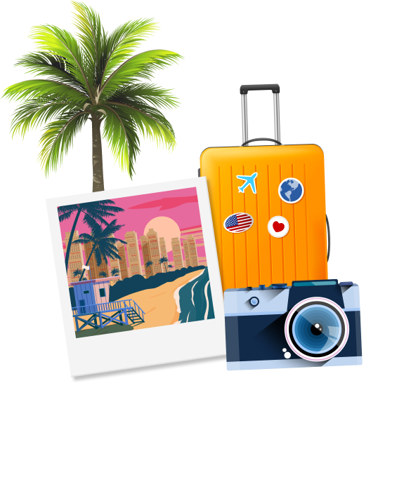 Palm Tree, Suitcase, Photo and Camera